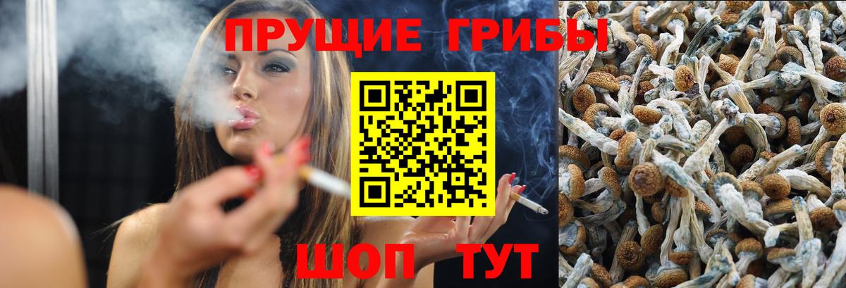 Реж  Галлюциногенные грибы Magic Shrooms  Псилоцибиновые грибы прущие грибы  Вход с VPN 